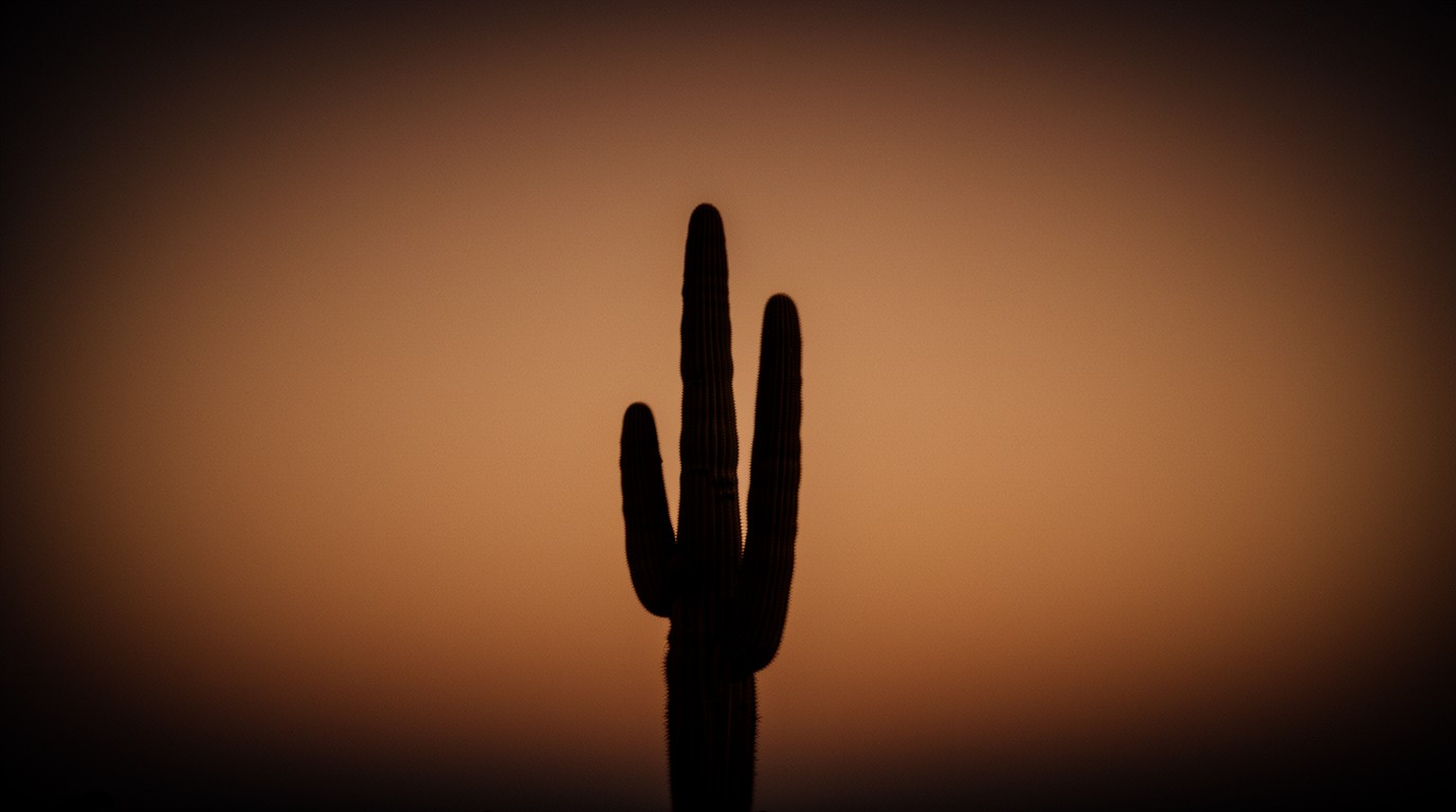 A tall desert cactus silhouetted against a warm dusk sky